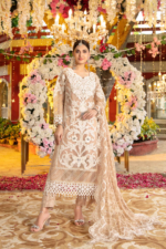 Maria B Heritage Edition Collection Pure Organza Fully Embroidered Work Unstitched Embroidered - Pink Bd-2608 - Image 3